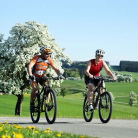 Radfahrer auf Moststraße