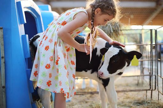 Urlaub am Bauernhof für Kinder in Zeillern im Mostviertel